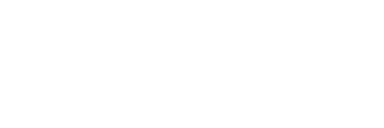 Steuart-Consulting-Logo-full1